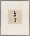 [Untitled], Auguste-Adolphe Bertsch  French, Salted paper print