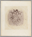 [Untitled], Auguste-Adolphe Bertsch  French, Salted paper print