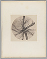 [Untitled], Auguste-Adolphe Bertsch  French, Salted paper print