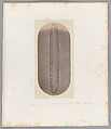 [Untitled], Auguste-Adolphe Bertsch  French, Salted paper print