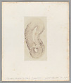 [Untitled], Auguste-Adolphe Bertsch  French, Salted paper print