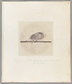 [Untitled], Auguste-Adolphe Bertsch  French, Salted paper print