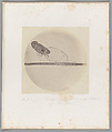 [Untitled], Auguste-Adolphe Bertsch  French, Salted paper print