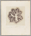 [Untitled], Auguste-Adolphe Bertsch  French, Salted paper print