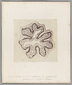 [Untitled], Auguste-Adolphe Bertsch  French, Salted paper print