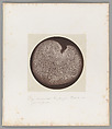 [Untitled], Auguste-Adolphe Bertsch  French, Salted paper print