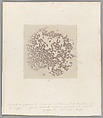 [Untitled], Auguste-Adolphe Bertsch  French, Salted paper print