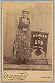 [Merchants' Carnival Portrait: Hamman & Son Dry Goods, Sabetha, Kansas], Maynard  American, Albumen silver print
