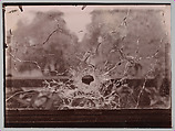 [Broken Glass], Emmanuel de la Villéon  French, Gelatin silver print