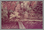 The Shad-Blow Tree, Umpawaug, Connecticut, Edward J. Steichen American, born Luxembourg, Chromogenic print