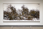 Schlichter Weg, Feldberger Seenlandschaft, Thomas Struth  German, Inkjet print