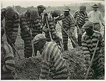 [Prison Work Crew (ca. 9 Members) Digging Trench and 1 Guard], Doris Ulmann  American, Photogravure from glass negative