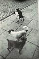 Paris, Henri Cartier-Bresson  French, Gelatin silver print