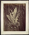 [Study of Leaves on a Background of Floral Lace], Charles Hippolyte Aubry  French, Albumen silver print from glass negative
