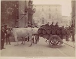 Carro con buoi, Perugia, James Anderson  British, Albumen silver print
