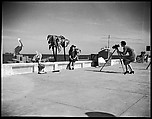 [Resort Photographer at Work, Florida], Walker Evans  American, Film negative
