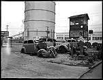 [Wrecked Cars in Automobile Junkyard, Tampa, Florida], Walker Evans  American, Film negative