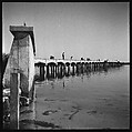 [Fishermen on Bridge, Near Sarasota, Florida], Walker Evans  American, Film negative