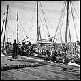 [Sponge Wharf at Tarpon Springs, Florida], Walker Evans  American, Film negative
