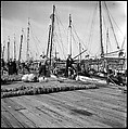 [Sponge Wharf at Tarpon Springs, Florida], Walker Evans  American, Film negative
