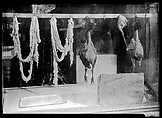 [Poultry Shop Window Display, New York City?], Walker Evans  American, Film negative