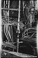 [Ship Rigging and Tackle Detail, Possibly Fulton Market Docks, New York], Walker Evans  American, Film negative
