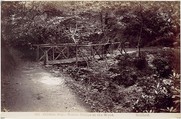 Colwyn Bay. Rustic Bridge in the Wood, Francis Bedford  British, Albumen silver print from glass negative