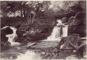 Glen Lun. The Rustic Bridge, Francis Bedford  British, Albumen silver print from glass negative