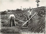 Faucheurs, Somme, Eugène Atget  French, Gelatin silver print from glass negative