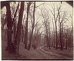 St. Cloud near Paris, Eugène Atget  French, Albumen silver print from glass negative