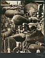 [Ruthsspiecher Tanks], César Domela  Dutch, Gelatin silver print
