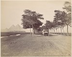 Caire. Allée de Pyramides, Félix Bonfils  French, Albumen silver print
