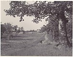 [Wisconsin Landscape], Henry Hamilton Bennett  American, Albumen silver print