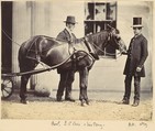 Reverend L. C. Cure and His Pony, Alfred Capel Cure British, Albumen silver print from glass negative