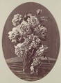 [Roses], Eugène Chauvigné  French, Albumen silver print from glass negative