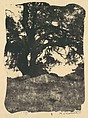 Oak, Mission Ridge, Santa Barbara, California, Henry Ravell  American, Gum bichromate print