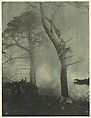 Fog and Cypress Trees, Henry Ravell  American, Gum bichromate print