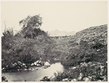 The Fountain of Jerico and Probable Site of the City, Francis Frith  British, Albumen silver print from glass negative