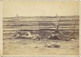 View in the Field, On the West Side of the Hagerstown Road, After the Battle of Antietam, Maryland, September 1862, Alexander Gardner  American, Scottish, Albumen silver print from glass negative
