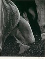 Rock Erosion, Point Lobos, Edward Weston  American, Gelatin silver print