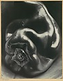 Pepper No. 35, Edward Weston (American, Highland Park, Illinois 1886–1958 Carmel, California), Gelatin silver print