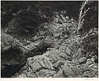 Point Lobos, Edward Weston (American, Highland Park, Illinois 1886–1958 Carmel, California), Gelatin silver print