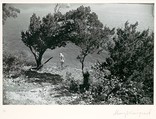 Hippy Hollow, Lake Travis, Austin, Texas, Garry Winogrand  American, Gelatin silver print