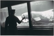 [Whale in Aquarium], Garry Winogrand  American, Gelatin silver print