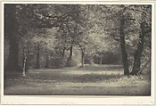 In the New Forest, Frederick H. Evans  British, Platinum print