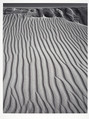 San Dunes, Oceano, California, Ansel Easton Adams  American, Gelatin silver print
