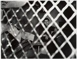 Frank Pape, Arrested for Homicide, Weegee  American, born Austria-Hungary, Gelatin silver print