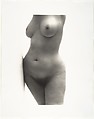 Nude No. 27, Irving Penn American, Gelatin silver print