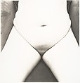 Nude No. 91, Irving Penn  American, Gelatin silver print