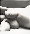 Nude No. 102, Irving Penn  American, Gelatin silver print